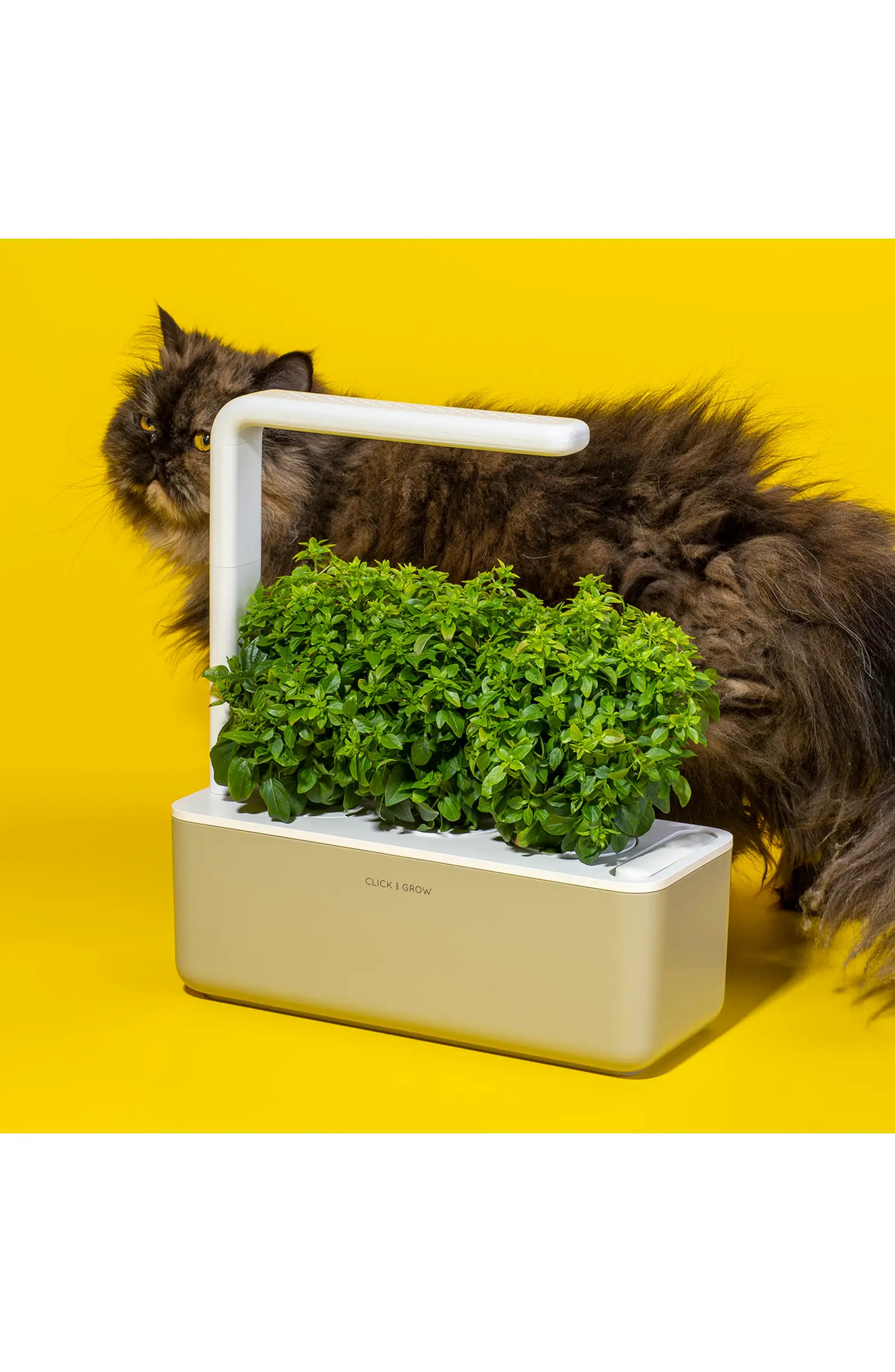 Smart Garden 3 Self Watering Indoor Garden | Nordstrom