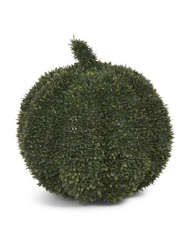 18In Boxwood Middle Pumpkin | TJ Maxx
