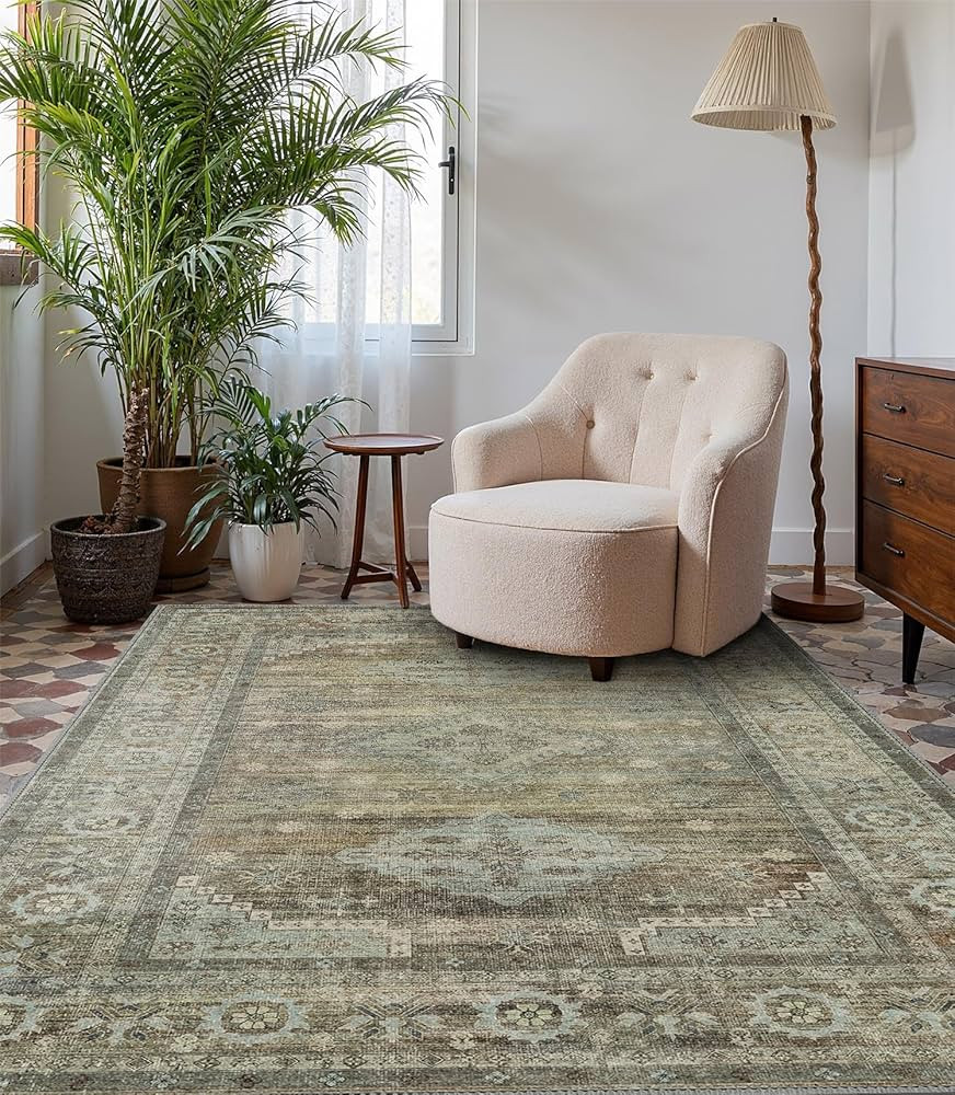 Area Rugs 5x7 for Living Room Bedroom, Modern Boho Machine Washable Large Distressed Light Greyis... | Amazon (US)