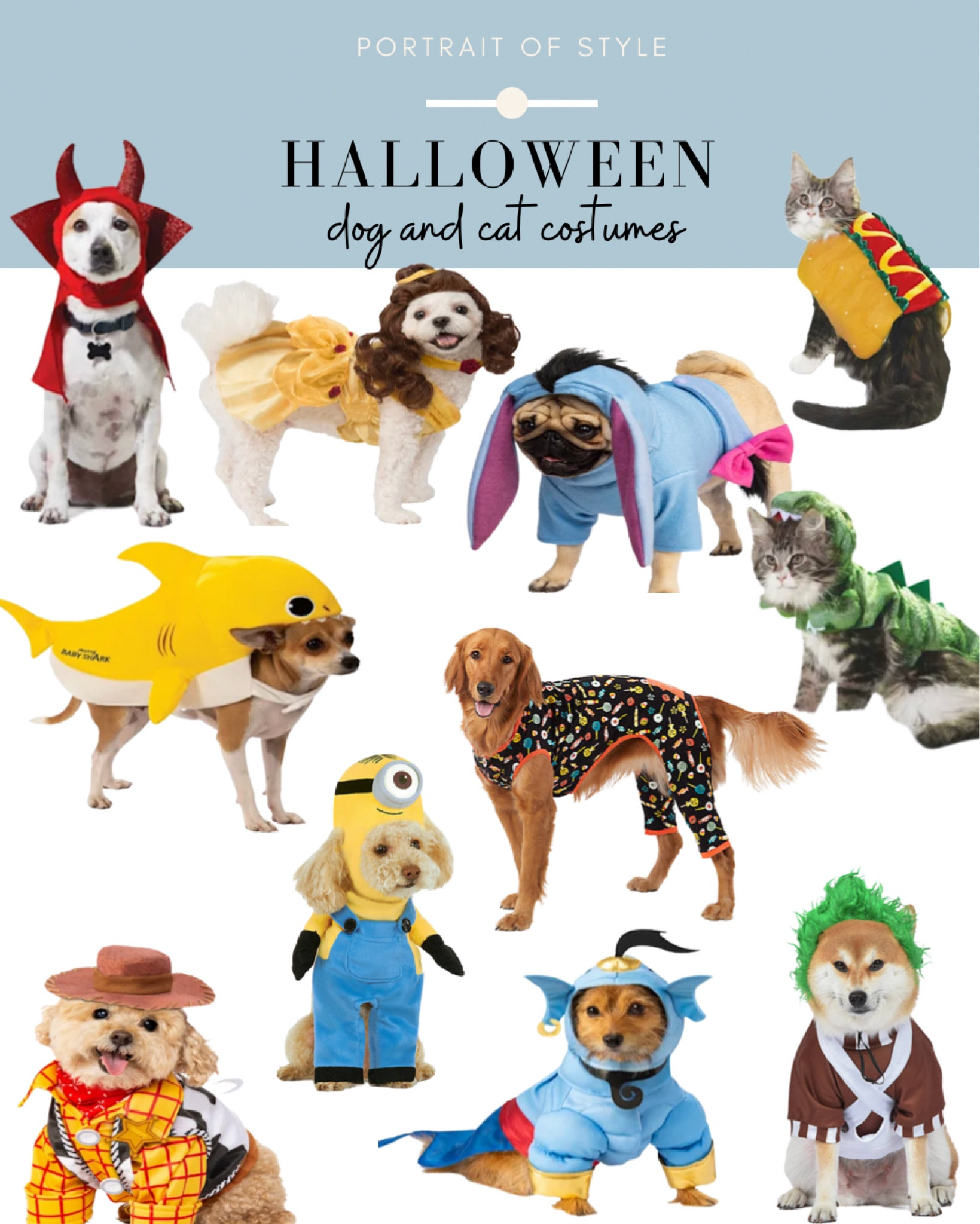 Buy your pet’s costumes for Halloween now while you have the selection! Petco has buy 1, get 1 50% off! #petco #petsmart #pethalloween #halloween #halloweencostumes #pethalloweencostumes #petcostumes

#LTKunder50 #LTKHalloween #LTKSeasonal