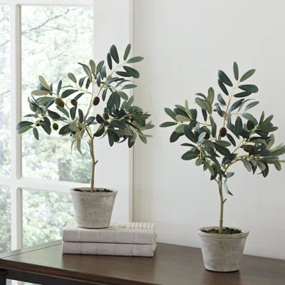 Birch Lane Faux Olive Trees (Set of 2) | Wayfair North America