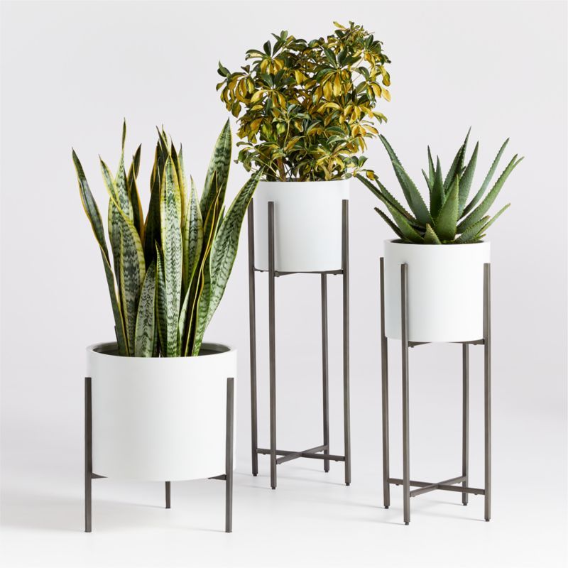 Dundee White Floor Planters | Crate and Barrel | Crate & Barrel