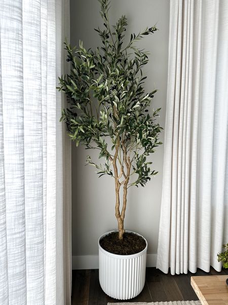 Elevate your faux olive tree with a pretty planter and Spanish moss. 

#LTKStyleTip #LTKFindsUnder100 #LTKHome