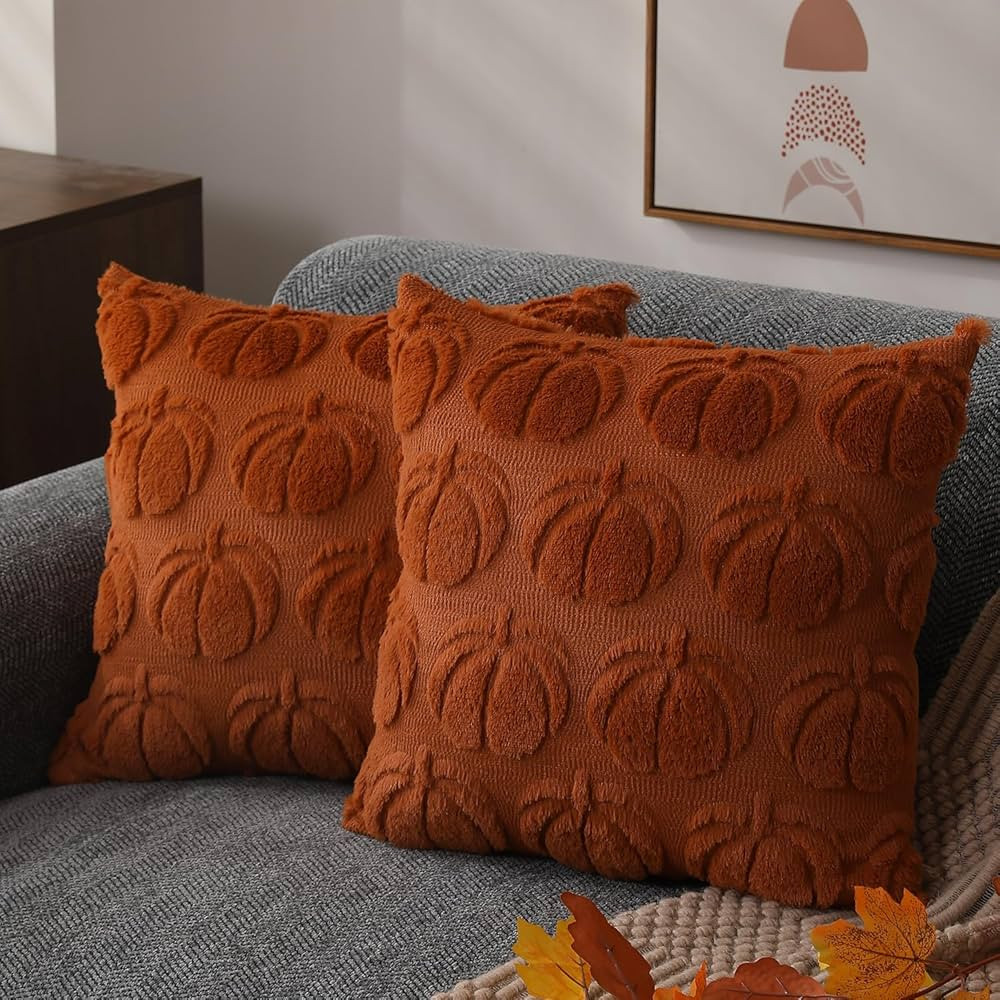 DFXSZ Fall Pillow Covers 18x18 Set of 2 Fall Decorations Autumn Rust Pumpkin Throw Pillow Cases S... | Amazon (US)