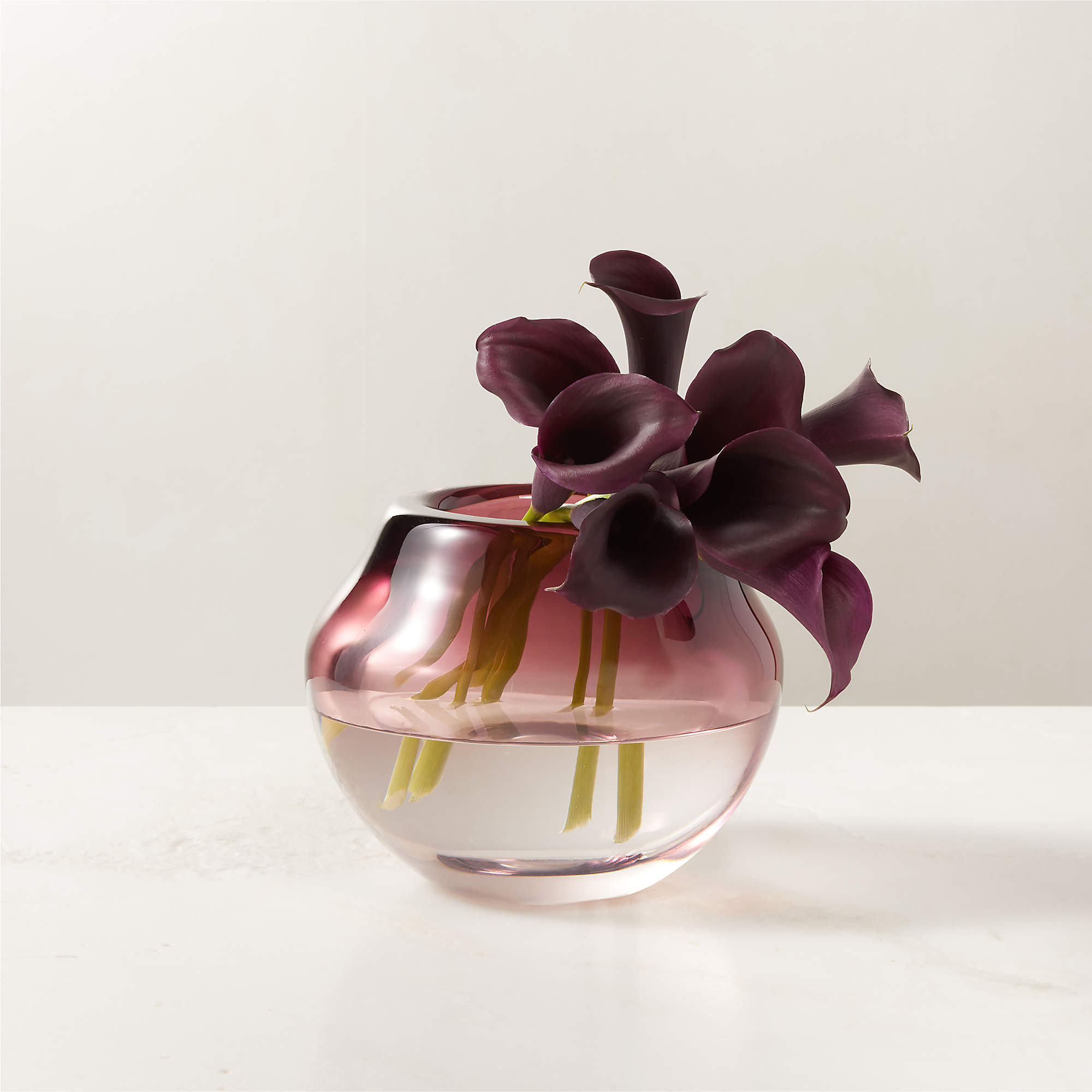 Regine Aubergine Purple Short Glass Vase by goop + Reviews | CB2 | CB2