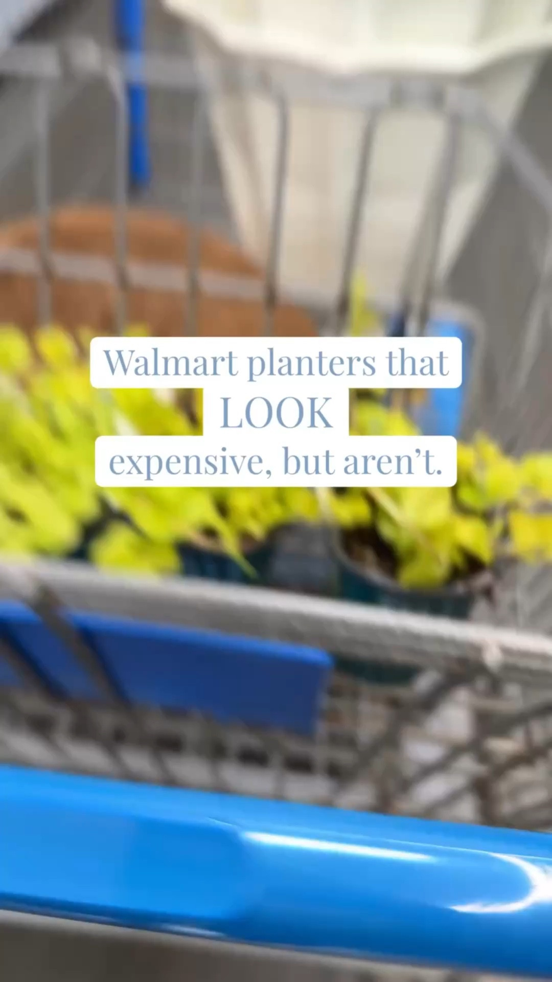 I grabbed these planters at Walmart and honestly… they look SO much more expensive than they are 😉

And because I can’t gatekeep a good find—I rounded up a few similar planters that give this same classic, elevated vibe all within a reasonable budget.

If you love that timeless, modern southern look… these are it ✨

#walmartfinds #southernhome #frontporchdecor #ltkhome