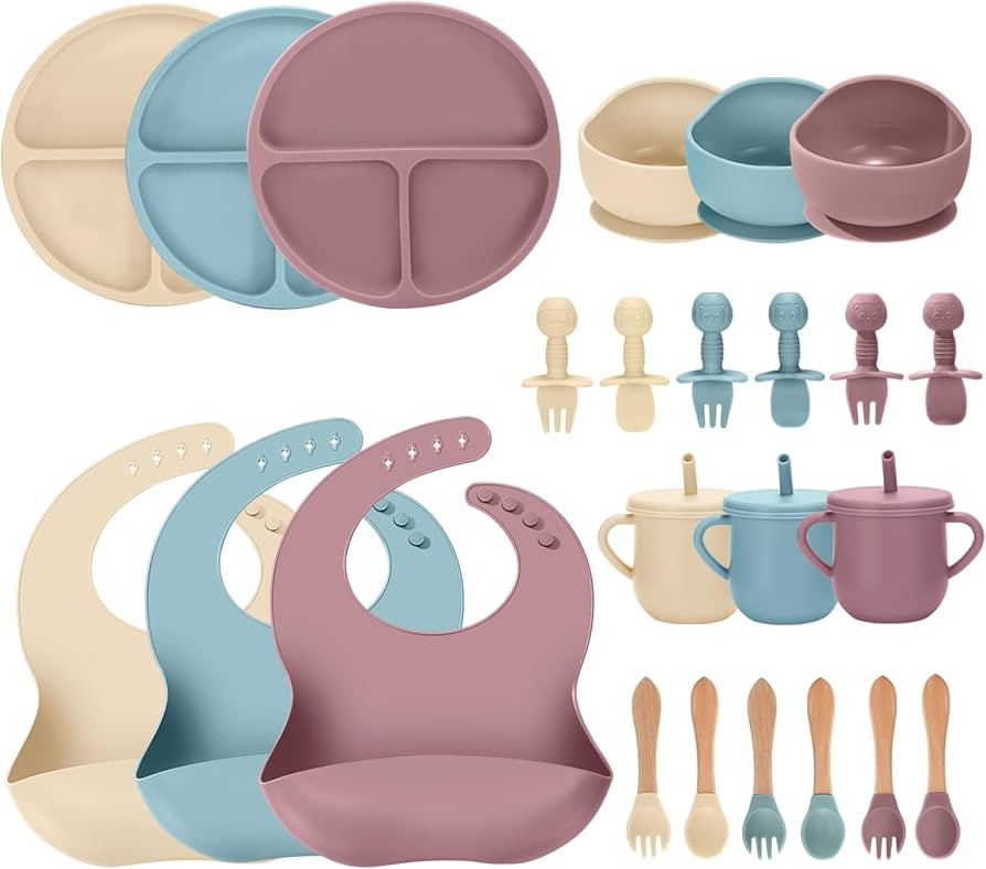 24 PCS Silicone Baby Feeding Set, Baby Led Weaning Supplies Includes Suction Bowls and Divided Pl... | Amazon (US)
