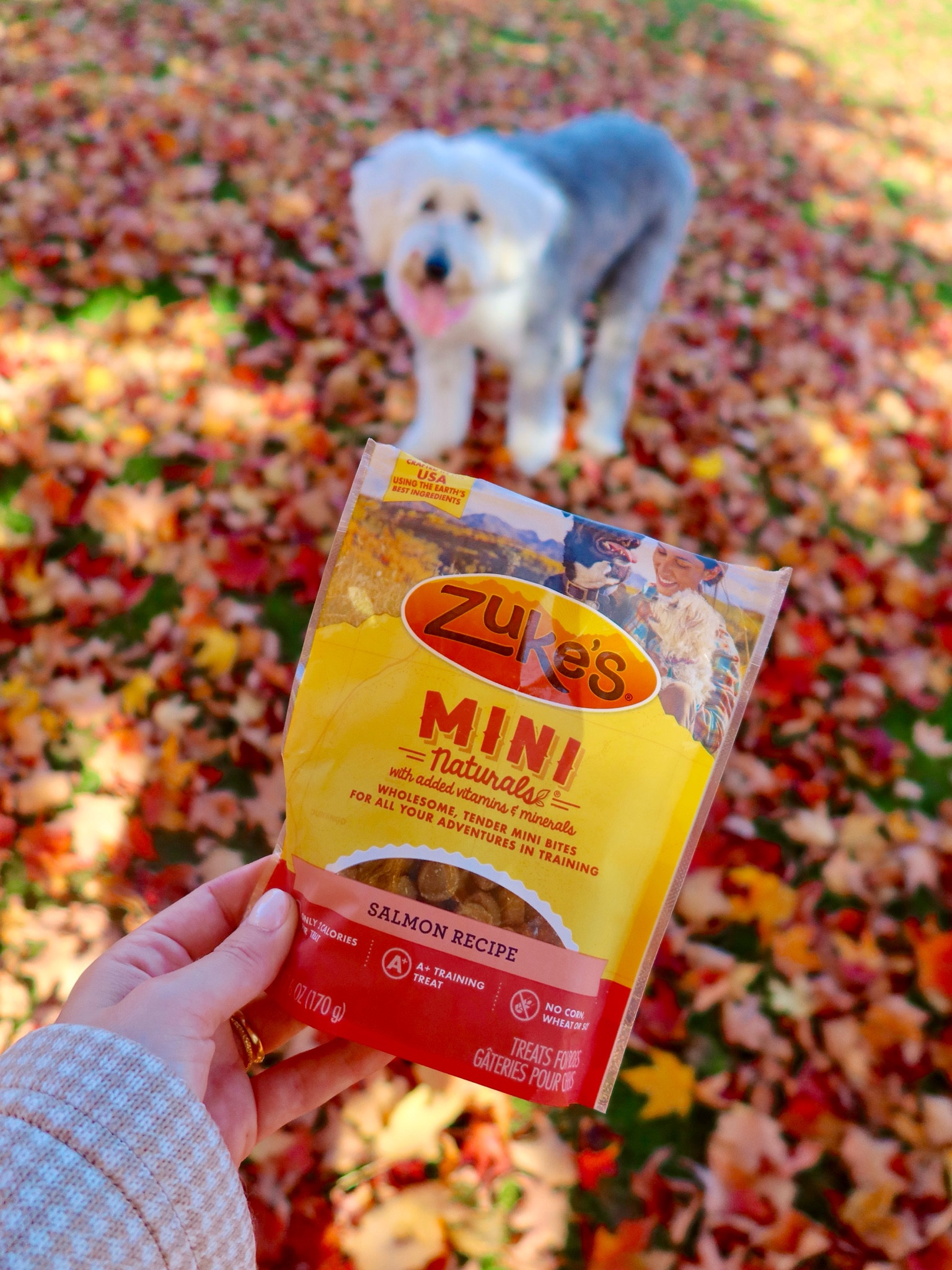 The Zuke’s Mini Naturals dog treats would make the BEST dog stocking stuffers!! 🐶🎄 
@zukespets @Target @Shop.LTK 
#ad #Chooseyouradventure #Zukespack #letsgozukes #TargetPartner #Target #liketkit 