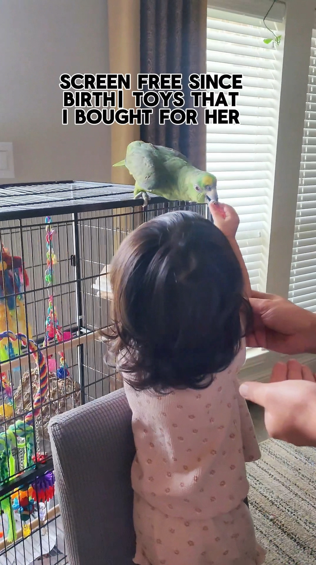 Toys for 2 yrs old. Companion play kit from lovevery have the age appropriate toys helping with focus, hands eye coordination, fine motor skills & learning emotions. 

Toddler toys 
Montessori toys
Lovevery 

#LTKVideo #LTKKids #LTKBaby