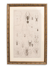 16x24 Insects Hanging Wall Art | Halloween | Marshalls | Marshalls