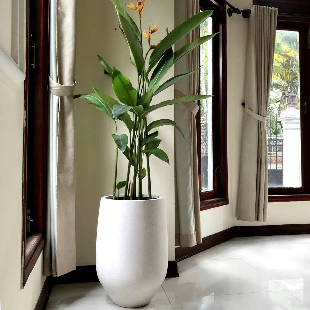 Culbane Handmade Pot Planter | Wayfair North America