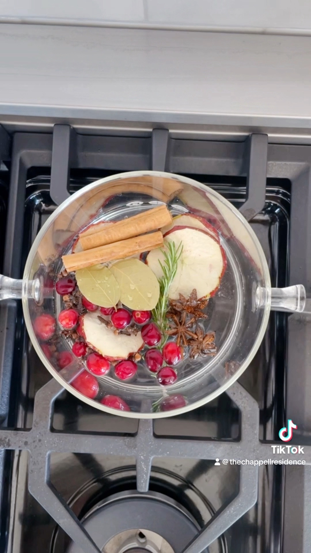 December Christmas Stovetop Potpourri

#LTKHoliday #LTKhome #LTKSeasonal