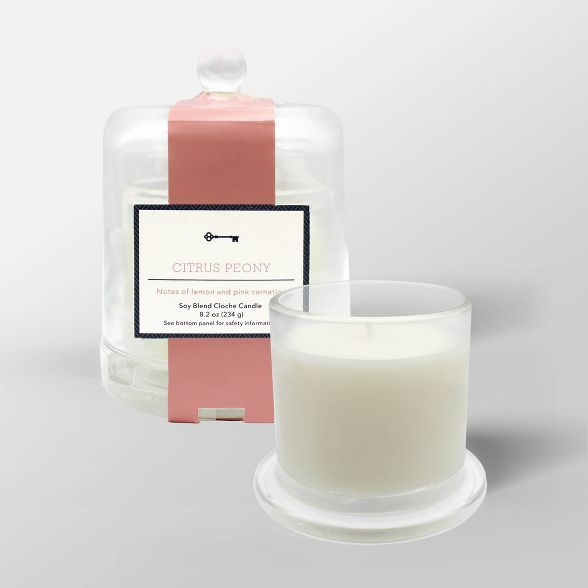 8.2oz Cloche Glass Jar Candle - Threshold™ | Target