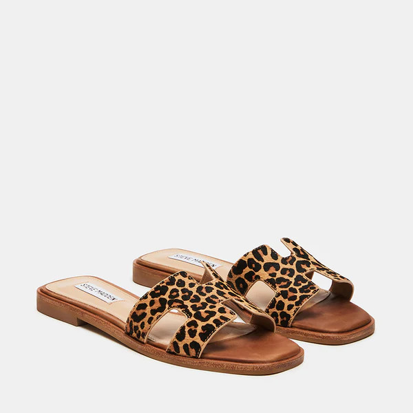 HADYN-L LEOPARD | Steve Madden (Canada)
