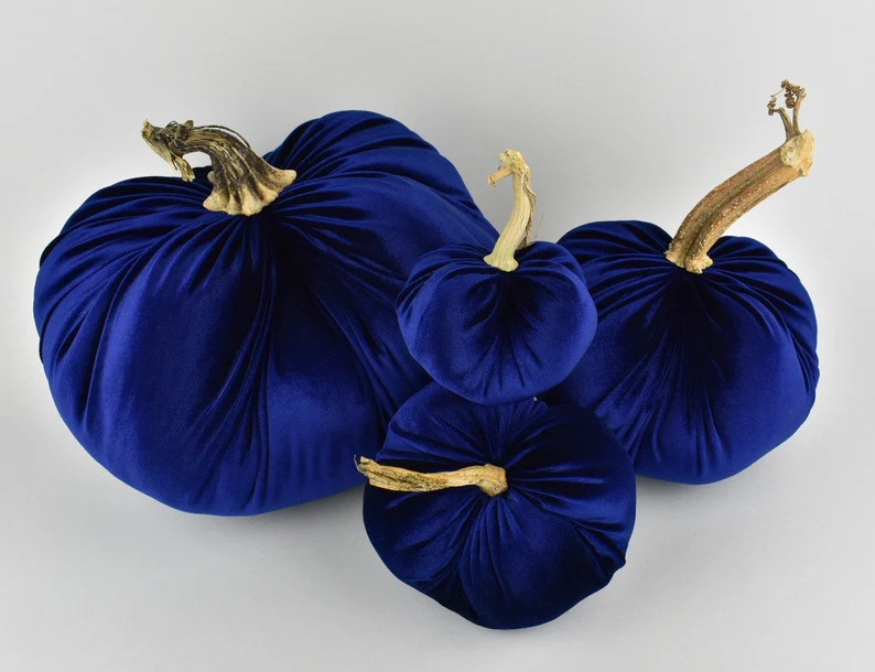 Velvet Pumpkin in Navy with a Real Stem | Etsy (US)