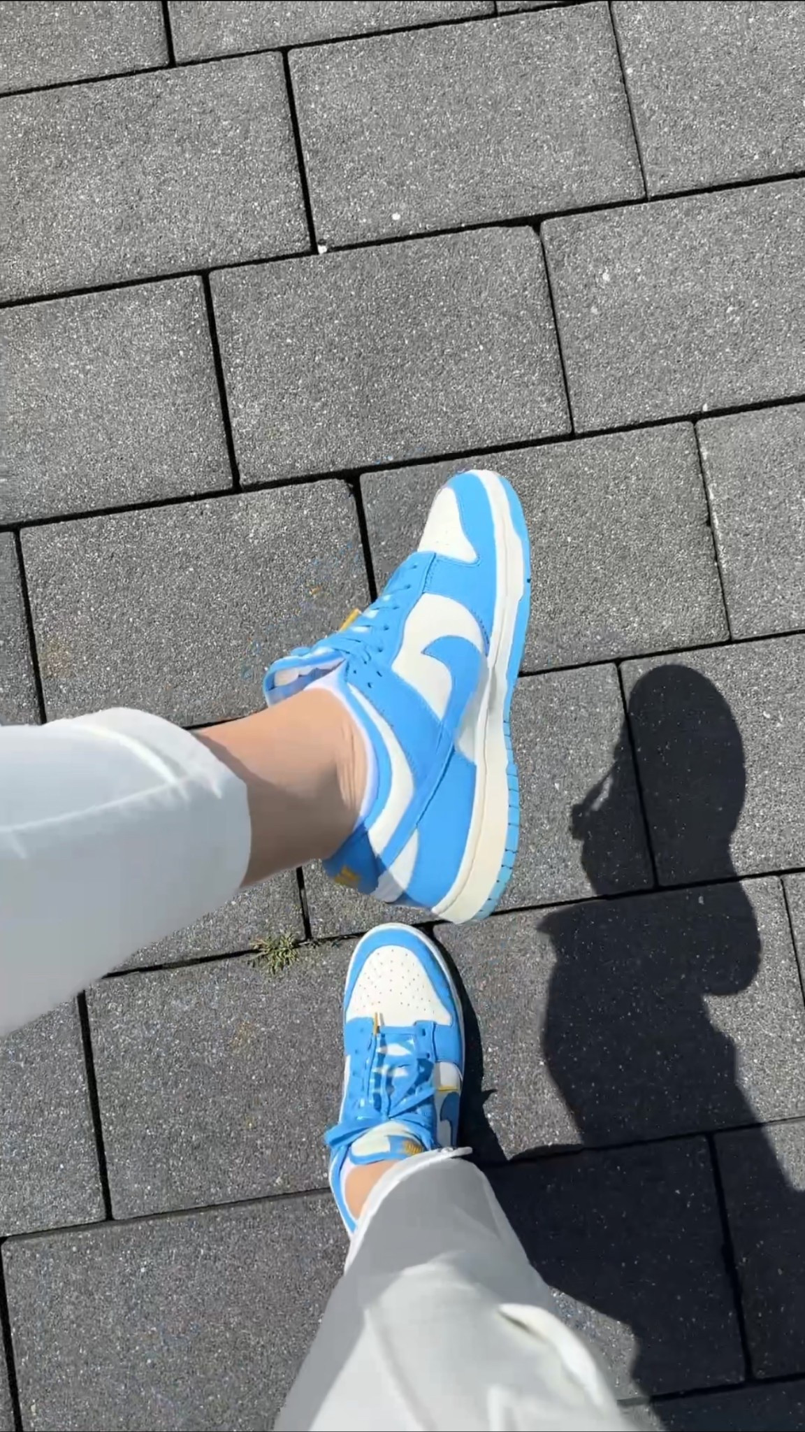 Nike Dunk Low Coast 🩵

#LTKShoeCrush