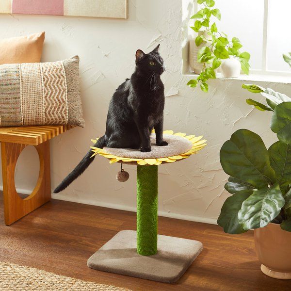 Frisco Sunflower Cat Scratching Post, Single Post | Chewy.com