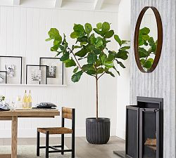Faux Fiddle Leaf Fig Trees | Pottery Barn (US)