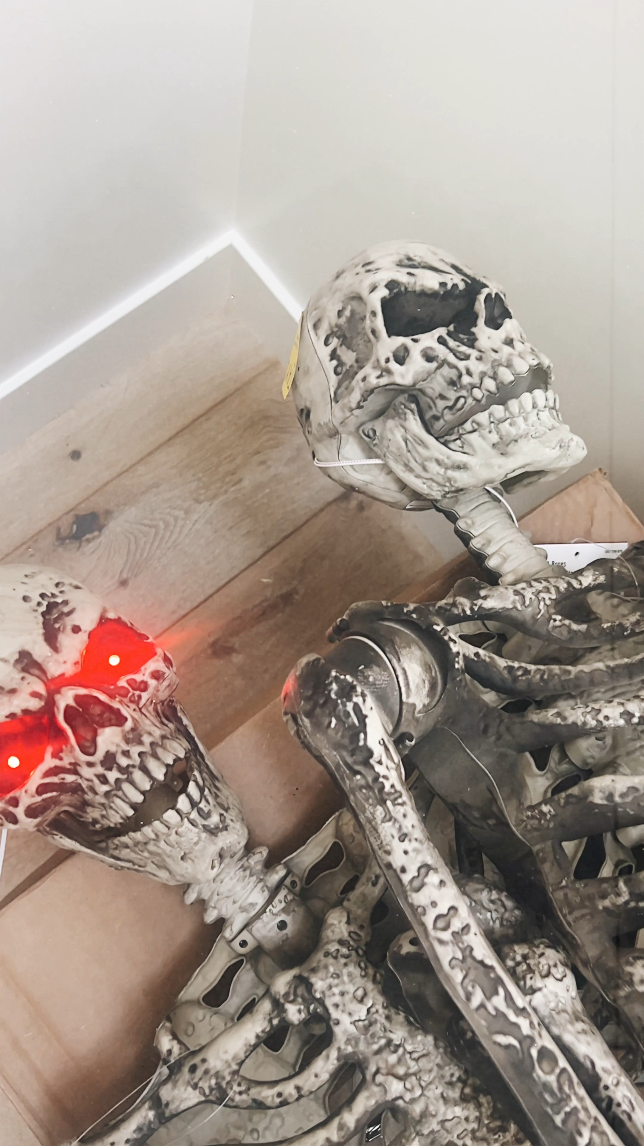 New friends for Halloween! Shop my top home dept picks this season 

#LTKFindsUnder100 #LTKHalloween