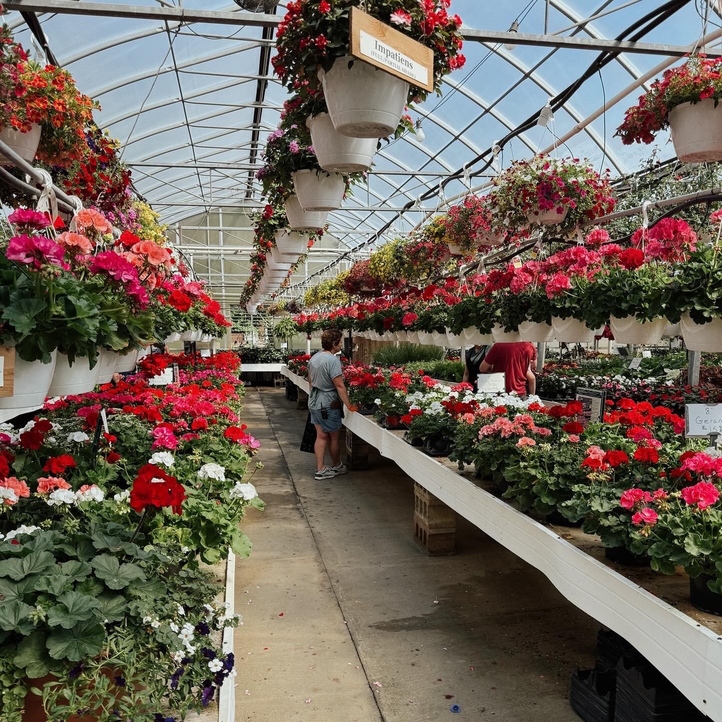 Gardening essential finds linked below✨

#LTKHome #LTKdayinmylife #LTKSeasonal