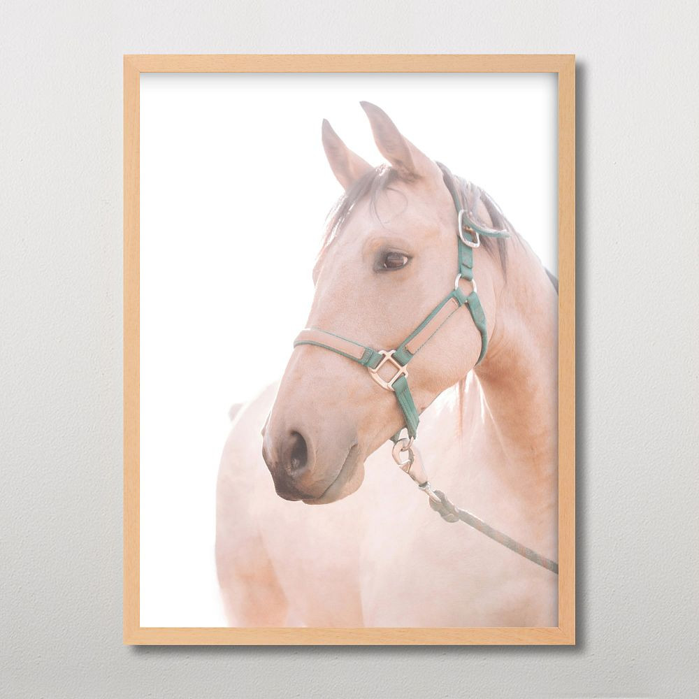 8x10 | Pottery Barn Teen