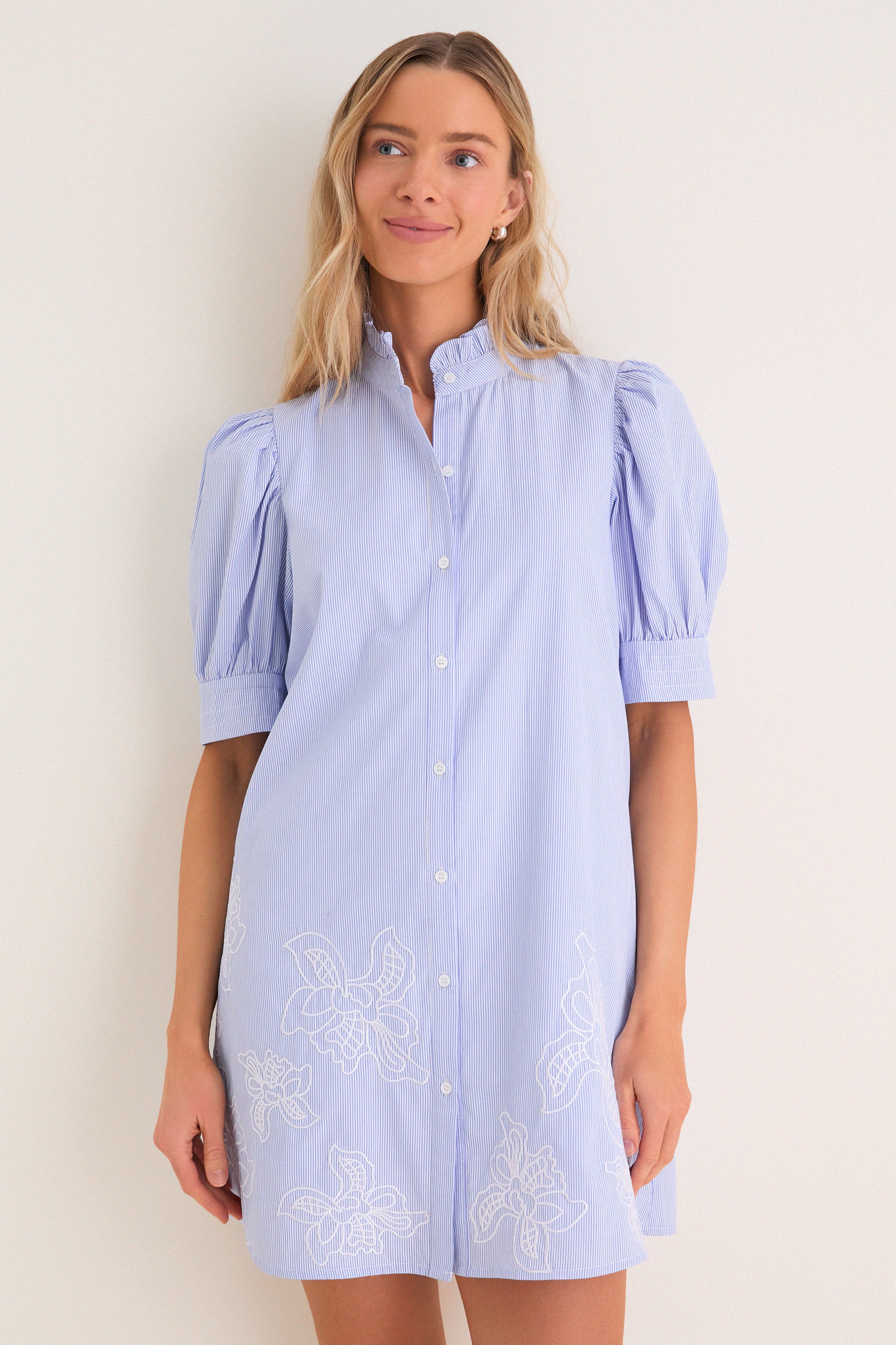 Blue Embroidered Pinstripe Louisa Mini Dress | Tuckernuck (US)