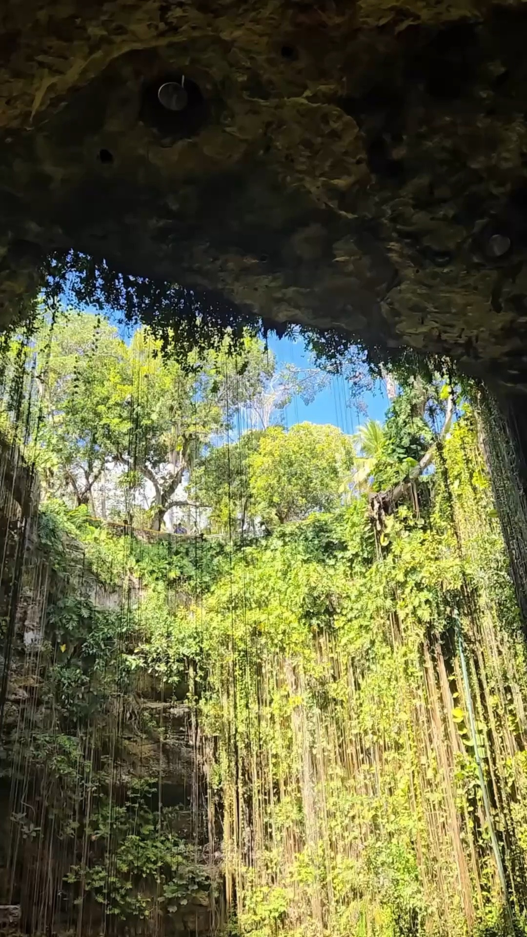 Chichen Itza & Cenote Ik Kil on a Disney cruise?! 🛳💙 Yes, you can do BOTH in one day and it is absolutely worth it! Full video on YouTube — link in bio! ✨ 
#DisneyCruise #ChichenItza #CenoteIkKil #AskTheMouse  #DisneyMagic

#LTKvlog #LTKTravel