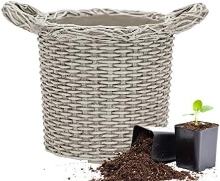 Martha Stewart Garden, Faux Wicker Planter, 10.5 Inch, Gray | Amazon (US)