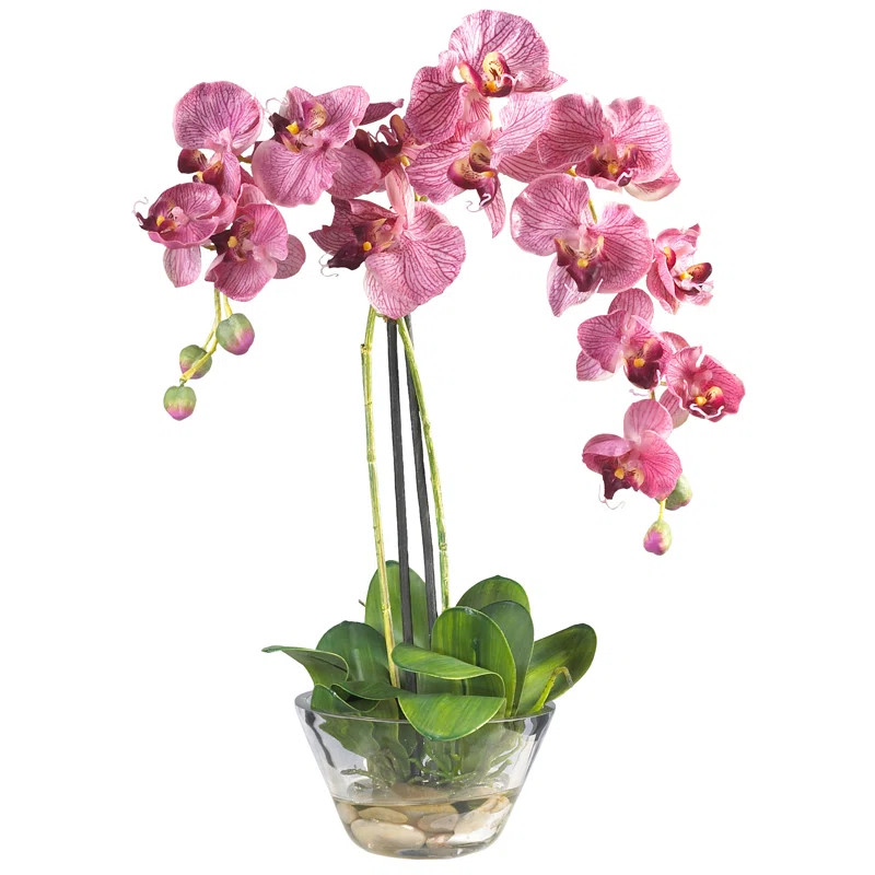 Orchids Floral Arrangement in Vase | Wayfair North America