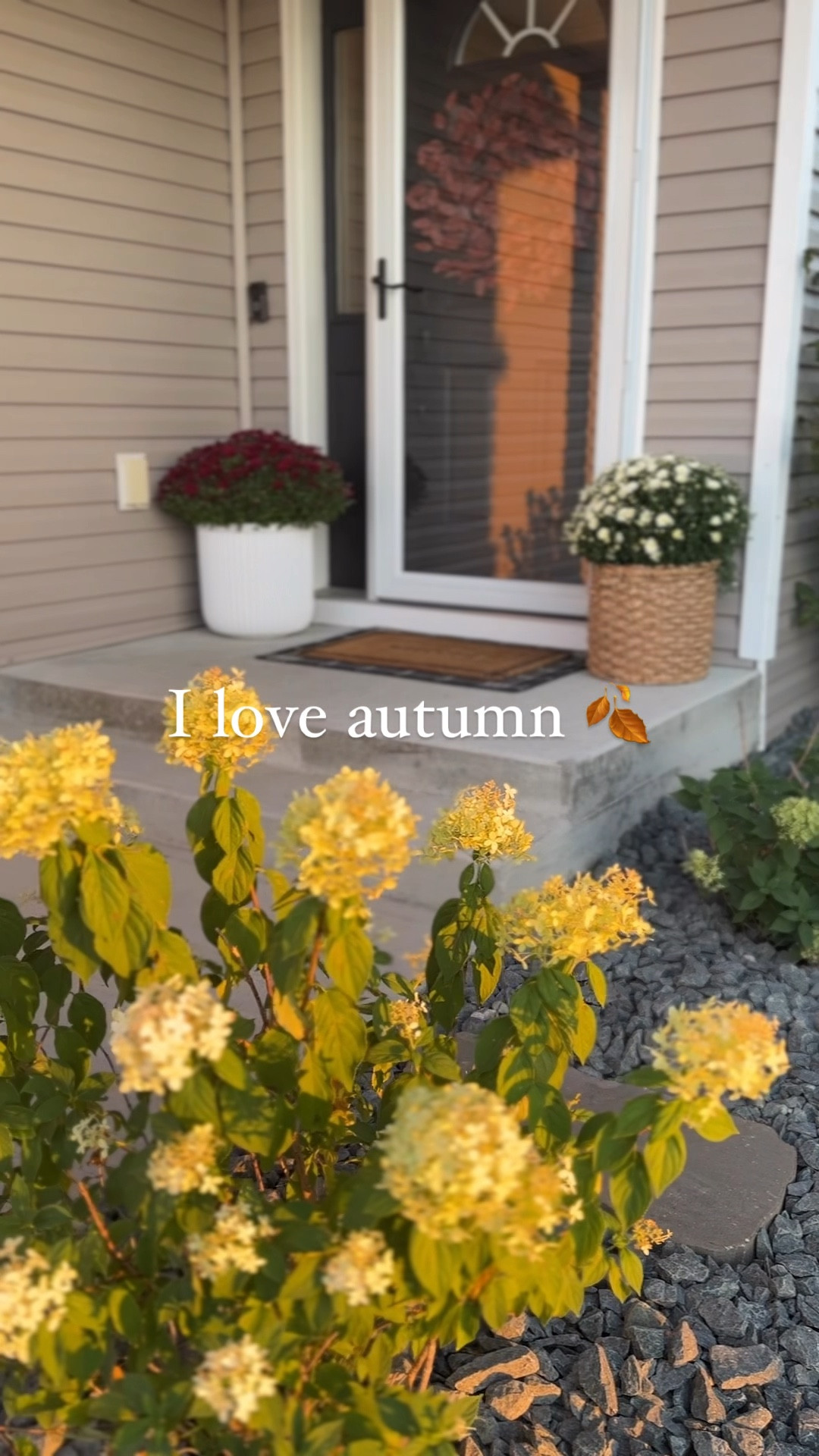 Simple fall front porch styling! 

#LTKHome #LTKSeasonal #LTKVideo