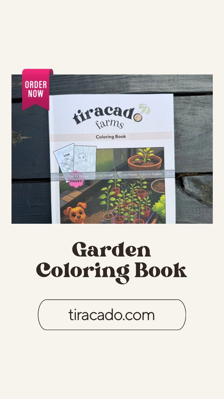 Garden-Themed Coloring Book for Toddlers and Preschoolers
Looking for an educational coloring book for kids ages 3–5? This garden-themed book is perfect for preschool learning, toddler activities, and homeschool resources!

Features:
	•	Letter tracing for early writing skills
	•	Fruit and vegetable identification
	•	Parts of a flower activity
	•	Hands-on learning with a touch of imagination

Perfect for parents, teachers, and anyone introducing kids to gardening, STEM, and nature-based education.

Tap to shop or find it on Amazon by searching “tiracado”. 

#LTKBaby #LTKKids #LTKFamily