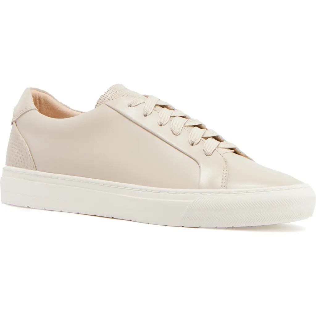 FRANKIE4 Mim IV Sneaker in Ecru Punched at Nordstrom, Size 9 | Nordstrom