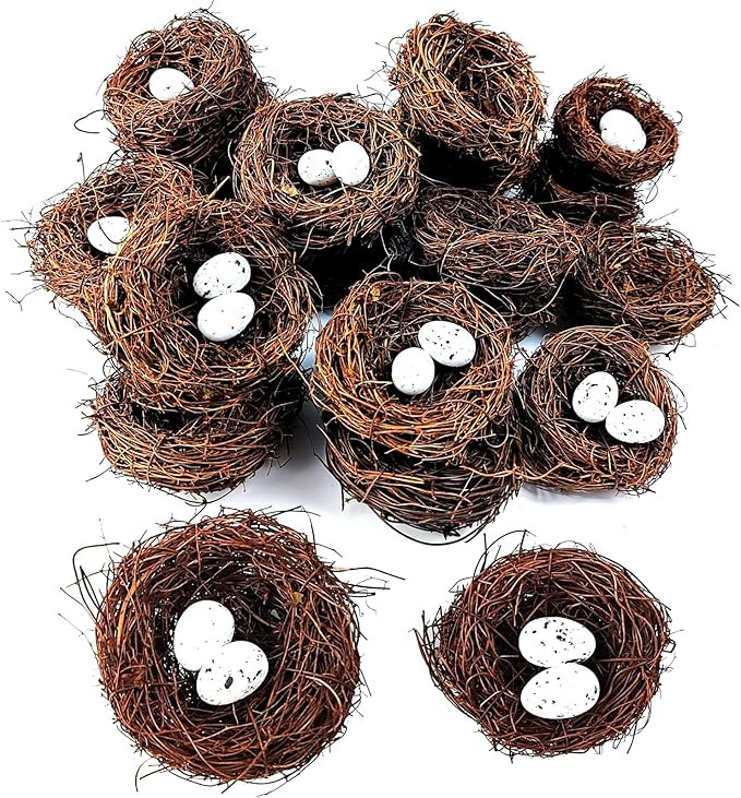 GXXMEI 24PCS/Set Small Faux Bird Nest with Eggs for Crafts, Artificial Rattan Birds Nest for East... | Amazon (US)