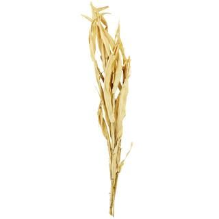 Natural Cornstalk Bouquet by Ashland® | Michaels Stores