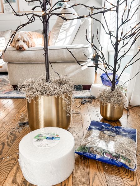 Love the viral twinkle trees from Amazon!!
Placing them in these gold planter pots from Target using Craftfom cake forms to stabilize and topping with preserved moss!

Holiday decor, prelit birch trees, Amazon twinkle trees, gold planter, artificial moss, preserved moss. Holiday tree, holiday natural decor.
#amazon #holiday #target


#LTKhome #LTKHoliday #LTKSeasonal