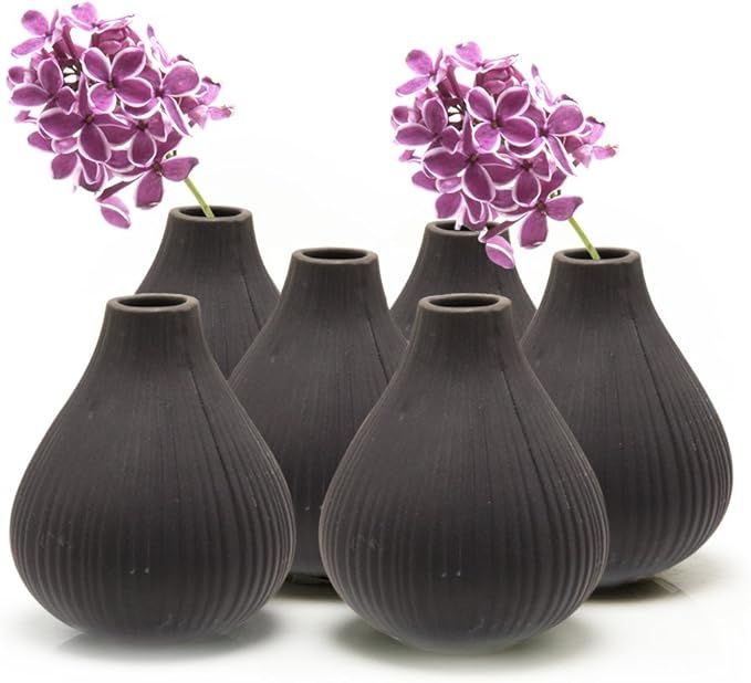 Chive ‘Frost’ Small Ceramic Vase — Decorative Vases for Flowers & House Plants — Cute, Be... | Amazon (US)