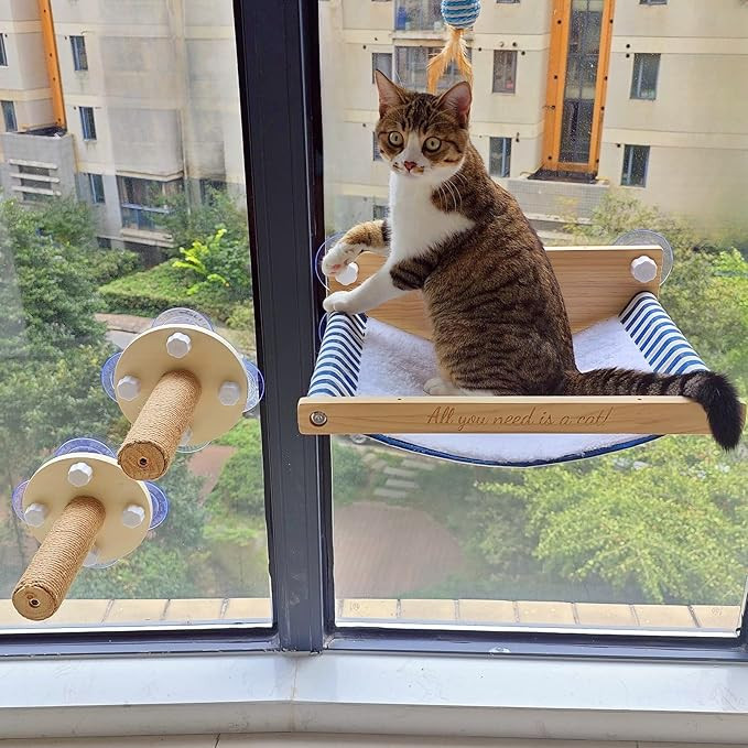 Cat Window Perch with 2 Stairs, Natural Wood, 17'' Wide Hammock, 5 Strong Suction Cups | Amazon (US)
