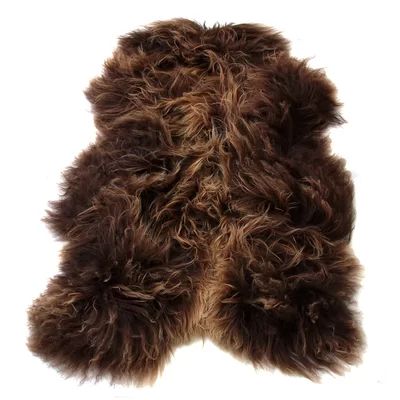 Fibre by Auskin Icelandic Pelt Rusty Brown Area Rug | Wayfair North America