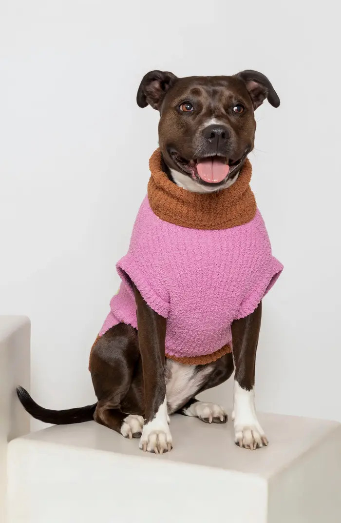 HEY! Turtleneck Pet Sweater | Nordstrom