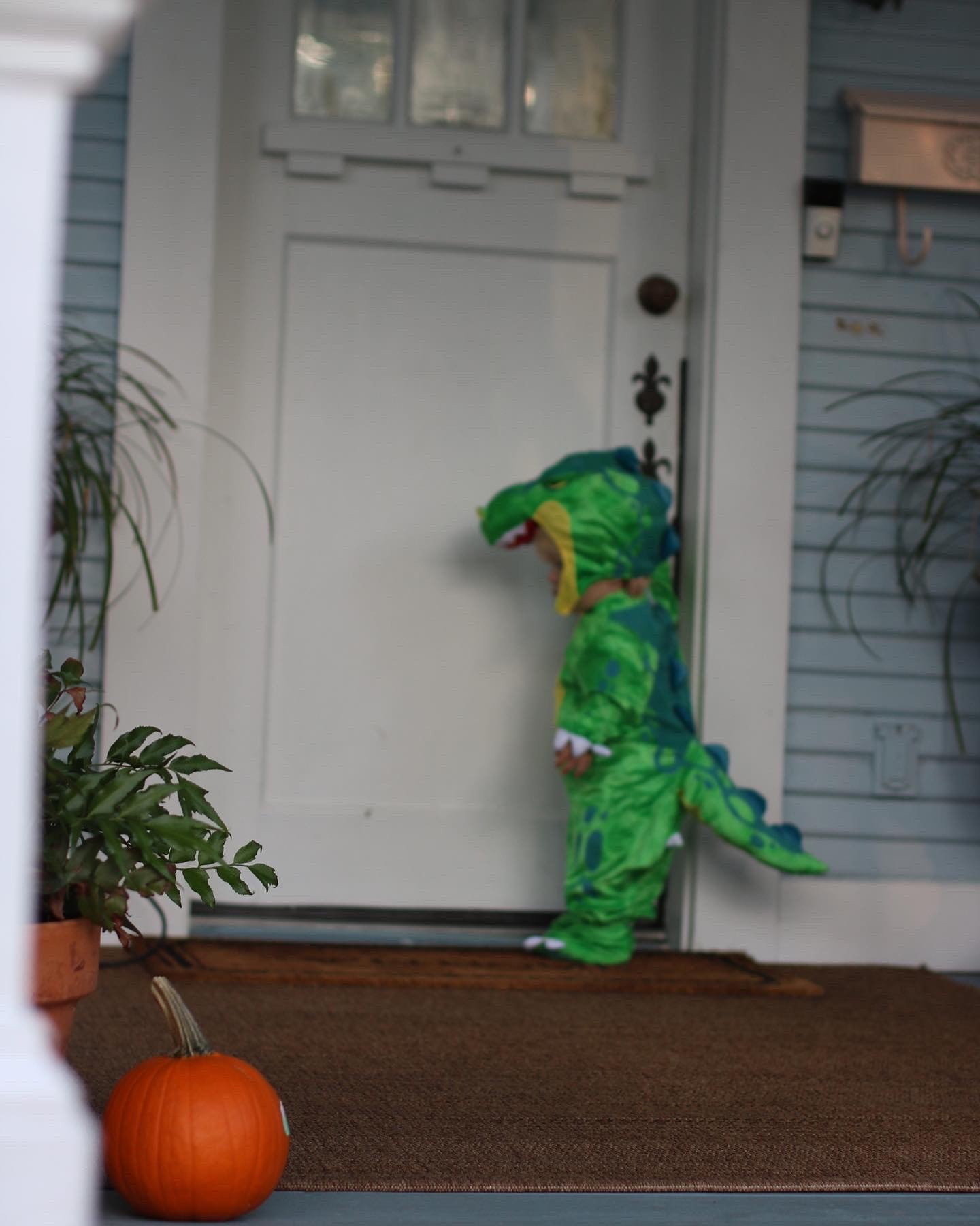 Baby Boy Dino Halloween Costumee

#LTKHalloween #LTKKids #LTKBaby