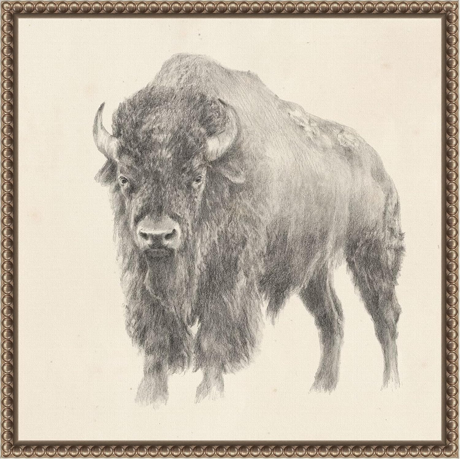 Amanti Art Framed Canvas Wall Art 16x16 Western Bison Study by Ethan Harper, Framed Wall Art Canv... | Amazon (US)