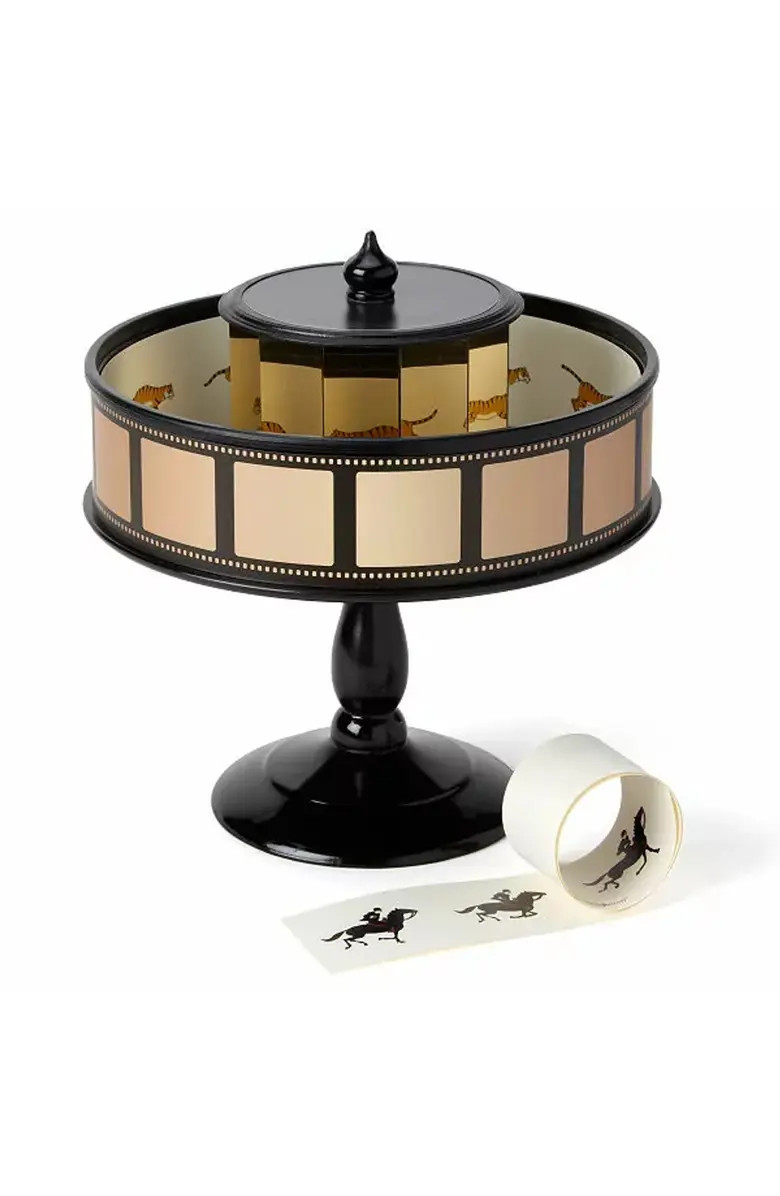 Praxinoscope Animation Spinner | Nordstrom