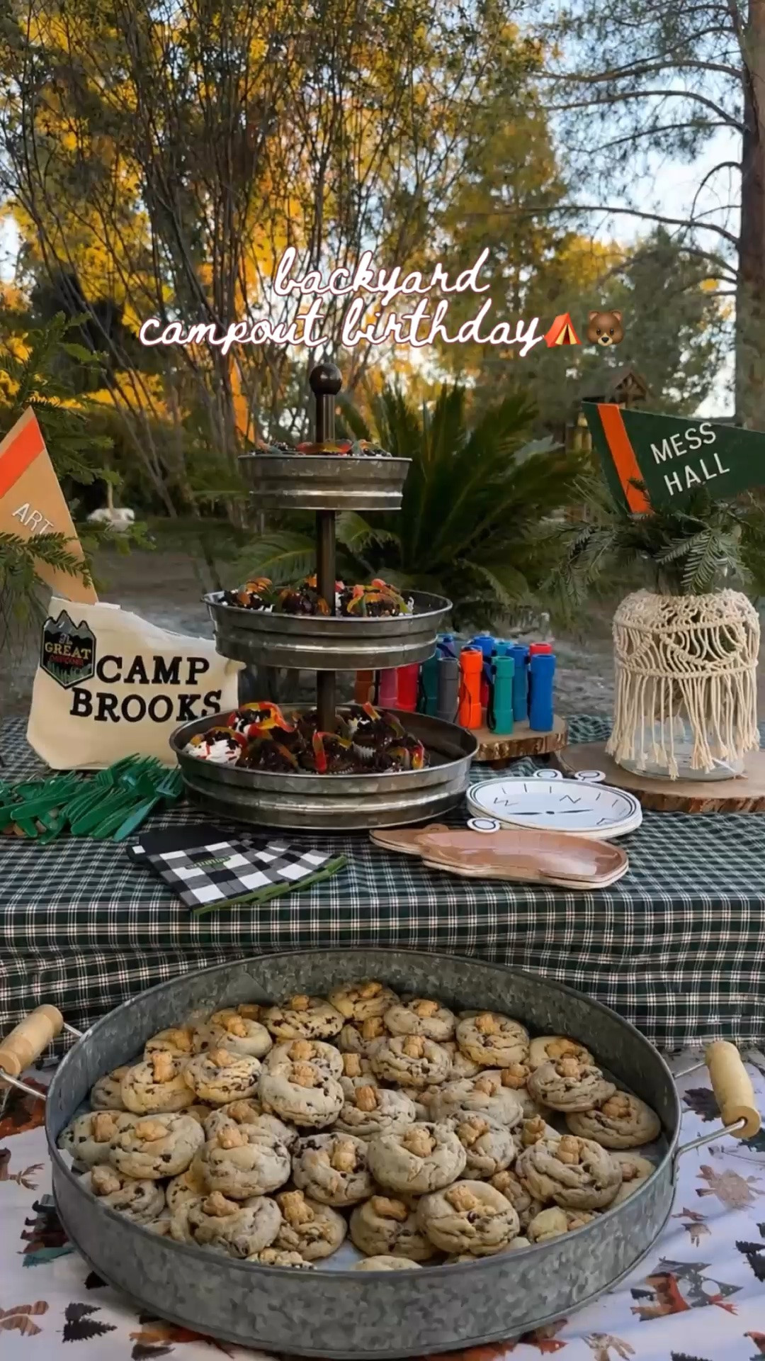 Camp out details! 🐻⛺️🫶🏻

#LTKdayinmylife #LTKmomlife #LTKKids