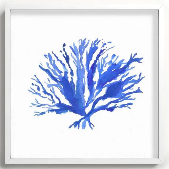 Sea Coral Framed Print 20x20 Blue and White Coastal Art | Etsy | Etsy (US)