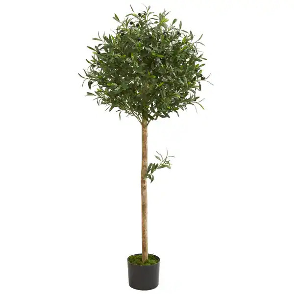 5' Olive Topiary Artificial Tree - h: 5 ft. w: 15 in. d: 15 in | Bed Bath & Beyond