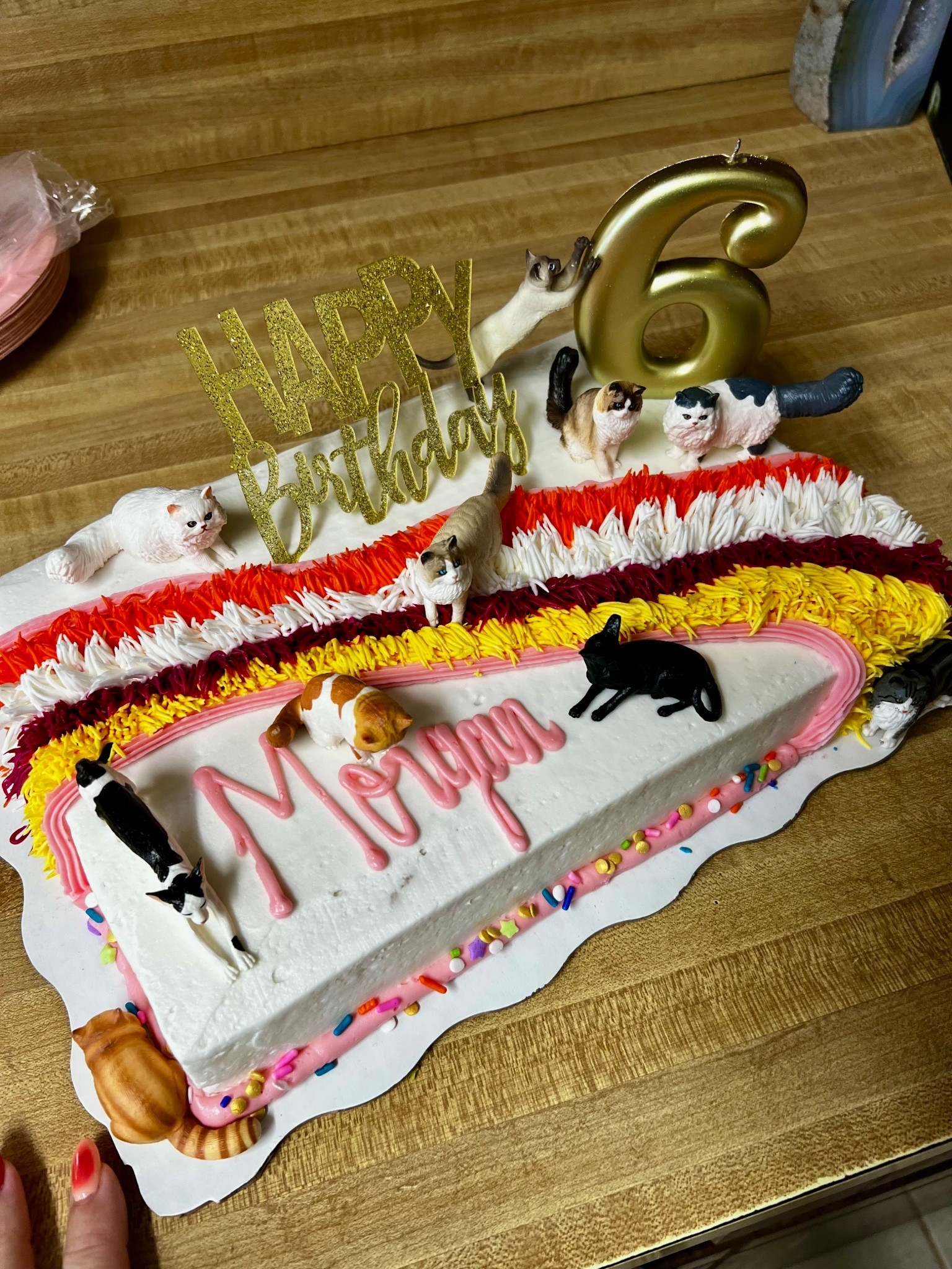These were the puuurrfect cake toppers for my daughters cake! 🎂 here are some more party decorations! #birthday #birthdaydecorations

#LTKParties #LTKPets