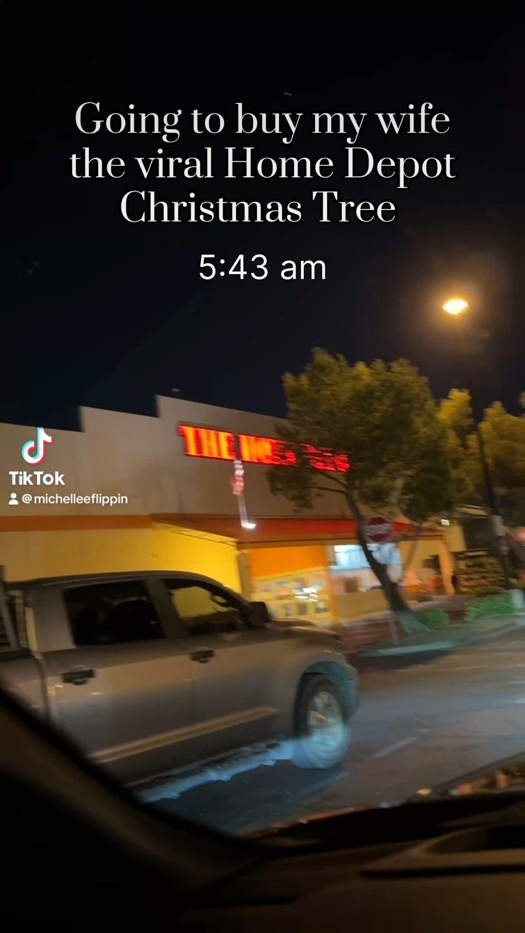 Viral Home Depot Christmas tree back in stock 

#LTKHome #LTKHoliday