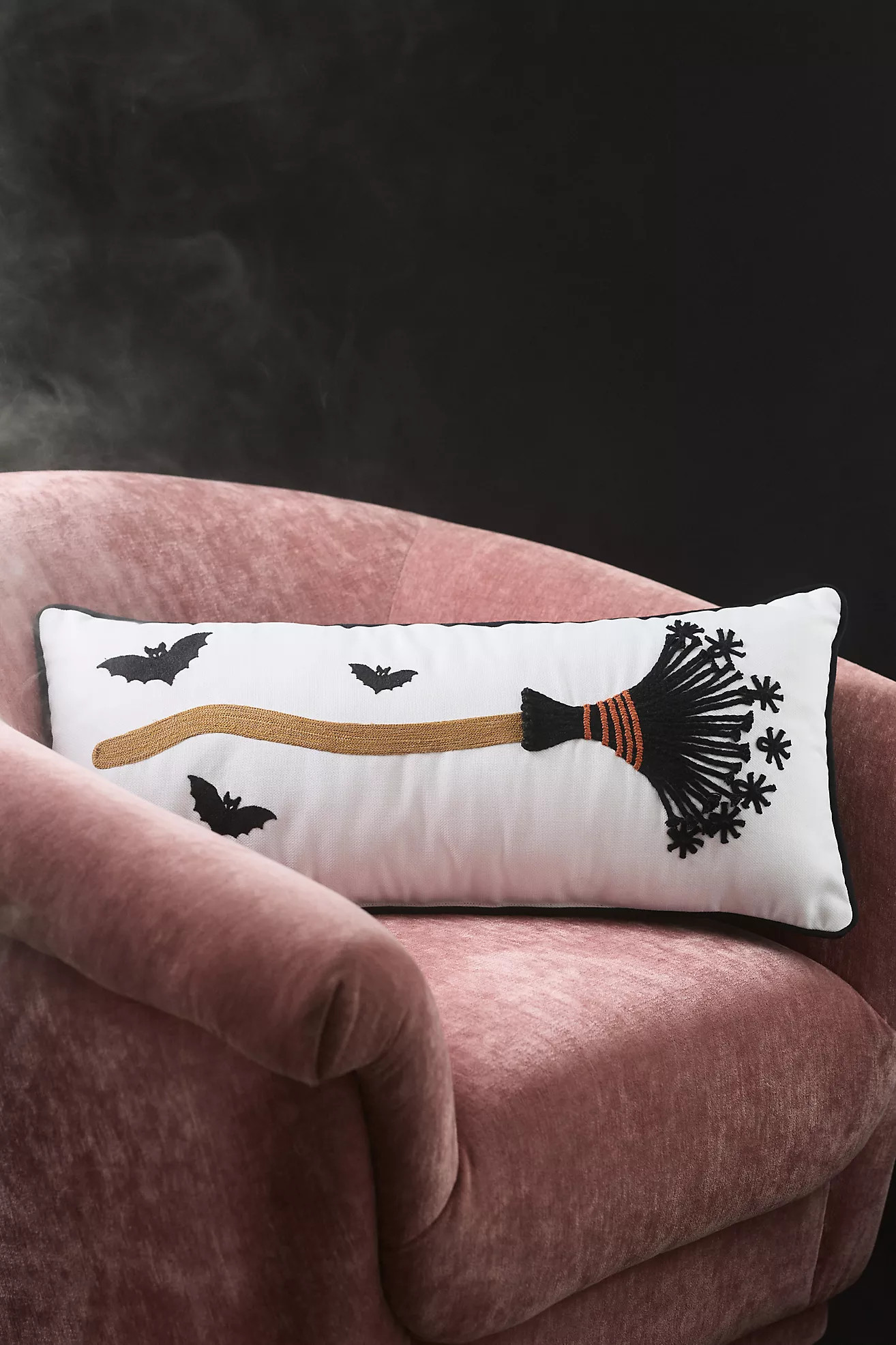 Halloween Icon Embroidered Indoor/Outdoor Pillows | Anthropologie (US)