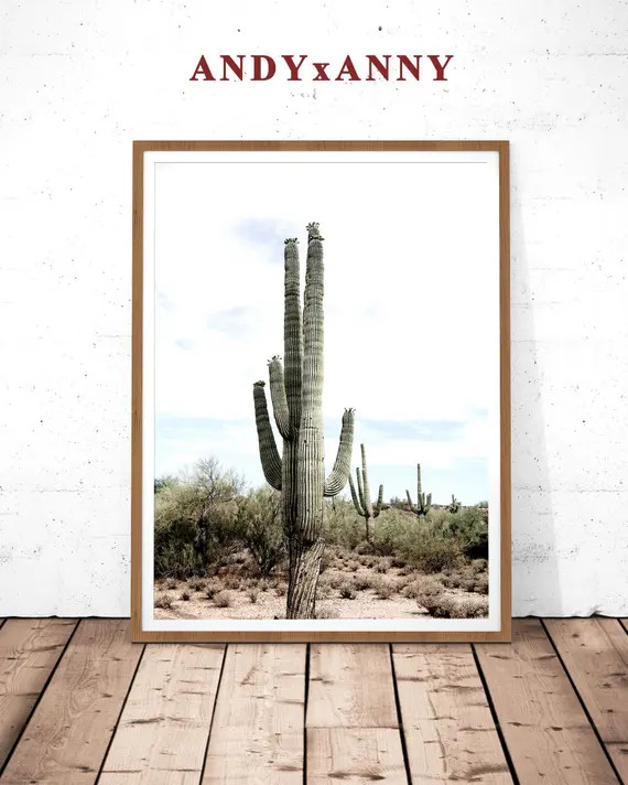 Desert Cactus Wall Art, Mexican Art Print, Digital Download, Cactus Photography, Arizona Print, M... | Etsy (US)