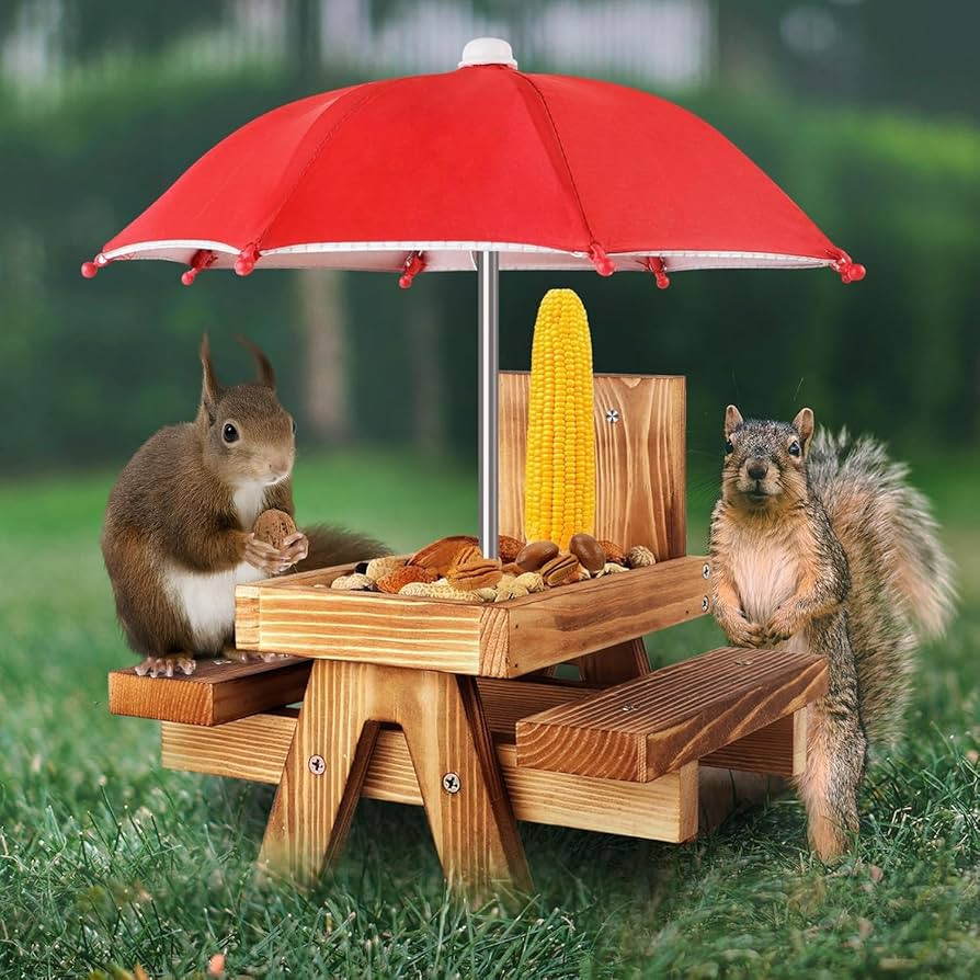 Gnodary Squirrel Feeder with Umbrella, Squirrel Feeders for Outside, Squirrel Picnic Table Feeder... | Amazon (US)